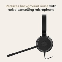 Jabra Evolve 20 USB-C Wired Stereo Headset – With Noise-Canceling Mic, Microsoft Teams Certified, USB-C/A Adapter (4999-823-169)